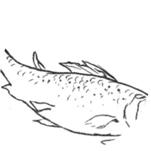 The Fisherman and the Little Fish