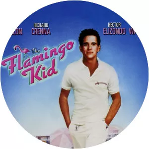 The Flamingo Kid