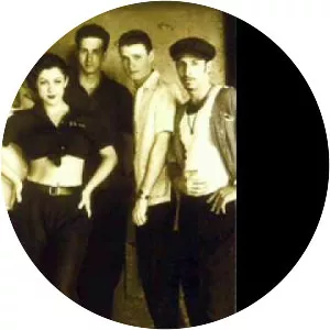 The Flying Neutrinos - Band