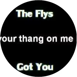 The Flys