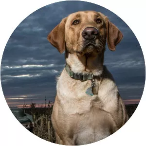 The Fowl Life With Chad Belding - TV program