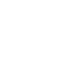 The Fund for American Studies
