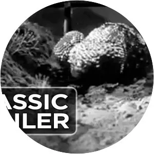 The Giant Gila Monster - 1959 ‧ Horror/Sci-fi ‧ 1h 14m