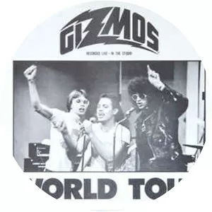 The Gizmos