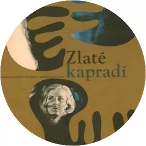 The Golden Fern - 1963 ‧ Fantasy/Drama