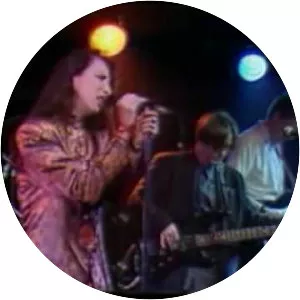 The Golden Palominos