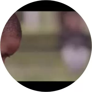 The good citizen - Book by Michael Schudson