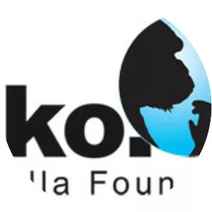 The Gorilla Foundation