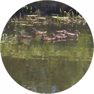 The Grand Canal Way - 