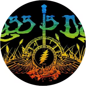 The Grass Is Dead - Musical artist