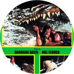 The Great Alligator River