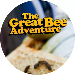 The Great Bee Adventure
