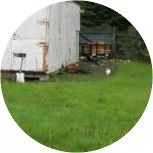 The Great Rabbit Chase - Book by Freya Blackwood