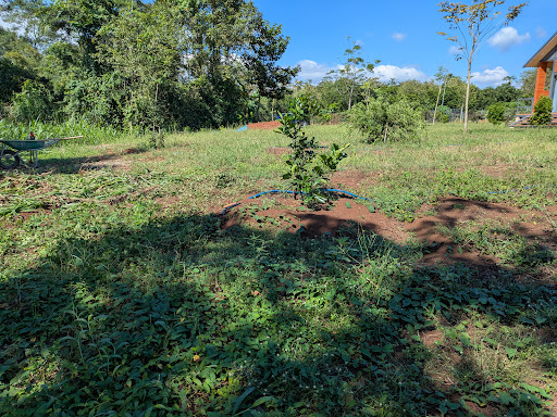 The Green Garden - Garden in Vietnam