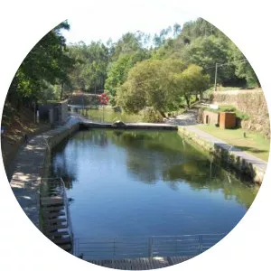 Homem Verde, O - Midsomer Murders: Season 7, Episode 1