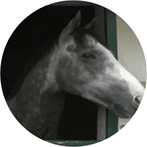 The Grey Gatsby photograph