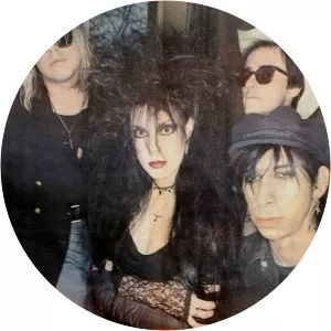 The Gun Club - Rock band