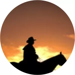 The Guns of Will Sonnett