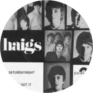 The Haigs - Musical group
