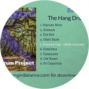 The Hang Drum Project