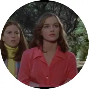 The Hardy Boys/Nancy Drew Mysteries - 