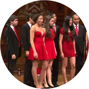 The Harvard LowKeys