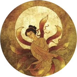 The Heavenly Fox - Book by Richard Parks