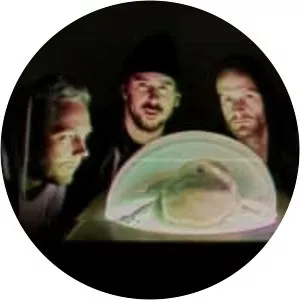 The Hickey Underworld