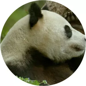 The Hidden Kingdoms of ChinaSince 2019