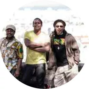 The High Reeds - Musical artist