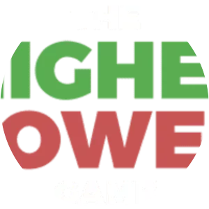 The Higher Lower Game - Video game