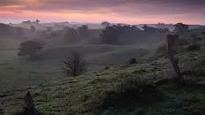 The Hills of Brosarp - 