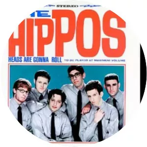 The Hippos - Rock band