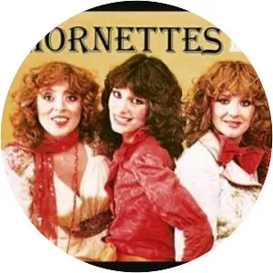 The Hornettes