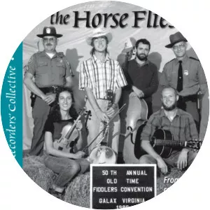 The Horse Flies