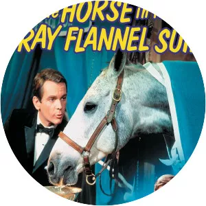 The Horse in the Gray Flannel Suit - 1968 ‧ Drama/Drama ‧ 1h 54m