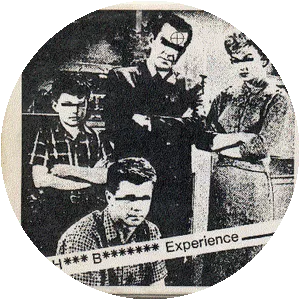 The Hugh Beaumont Experience