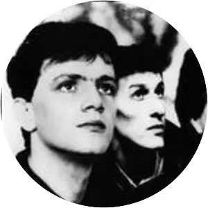 The Icicle Works - Rock band