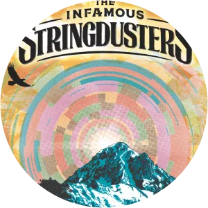 The Infamous Stringdusters - Band