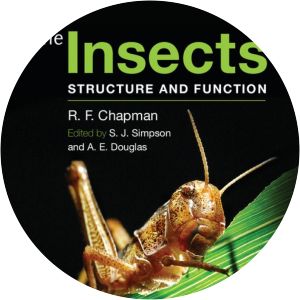 The Insects: Structure and Function