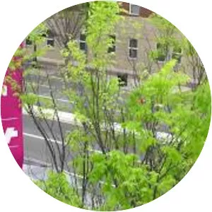 The Institute of Contemporary Art - 