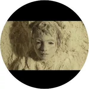 The Invisible Guardian - 2017 ‧ Thriller ‧ 2h 9m