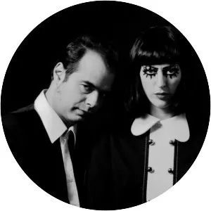 The Jackets - Musical group