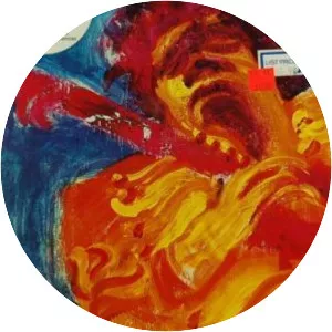 The Jimi Hendrix Concerts