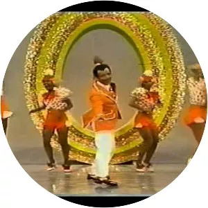 The Ken Berry Wow Show