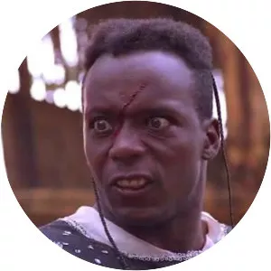 The King of the Kickboxers - 1990 ‧ Sport/Action ‧ 1h 39m