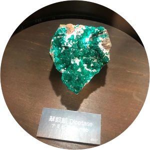 The Kiseki Museum of World Stones