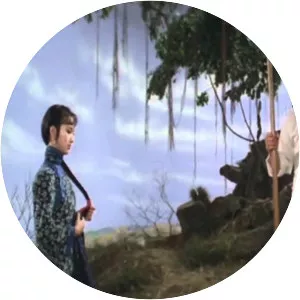 The Kung Fu Instructor