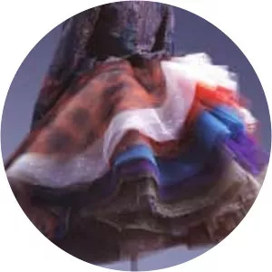 The Kyoto Costume Institute