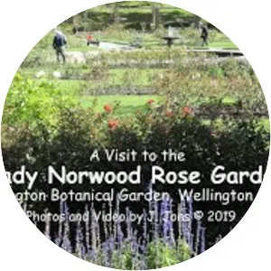 The Lady Norwood Rose Garden - 